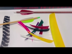 Componenti di freccia