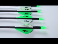 .204 frecce da caccia per assassini